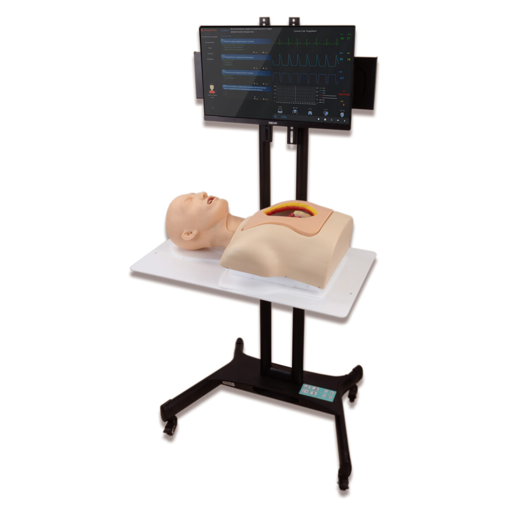 Simulator for practicing basic skills of performing heart surgery under artificial circulation